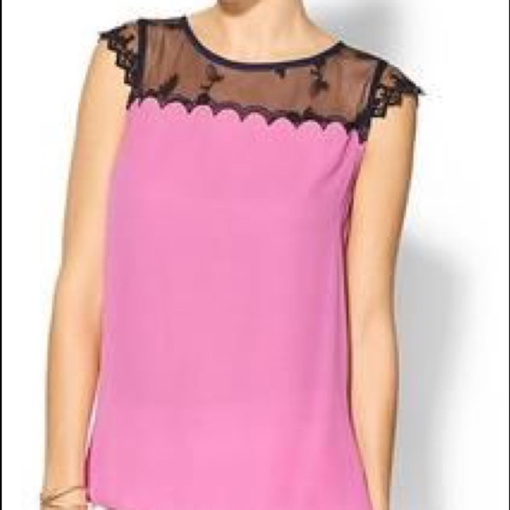 Pim and Larkin Lace Detail Top
